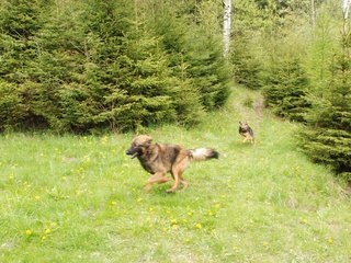 2010-05-22_ntb_8825