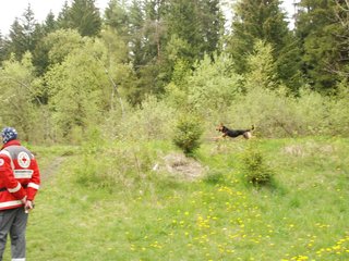 2010-05-22_ntb_8827