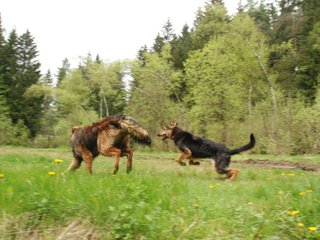 2010-05-22_ntb_8833