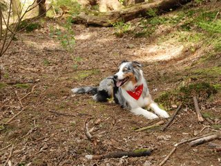 2010-05-22_ntb_8477