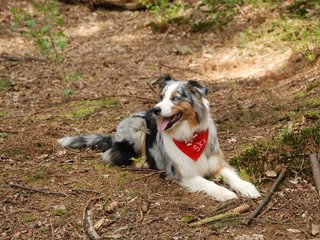 2010-05-22_ntb_8478