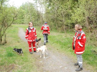 2010-05-22_ntb_8486