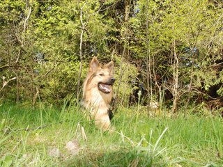 2010-05-22_ntb_8492