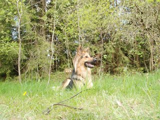 2010-05-22_ntb_8496