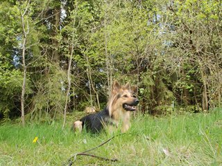 2010-05-22_ntb_8499