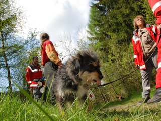 2010-05-22_ntb_8502