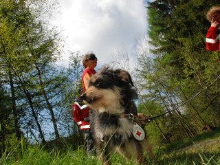 2010-05-22_ntb_8503