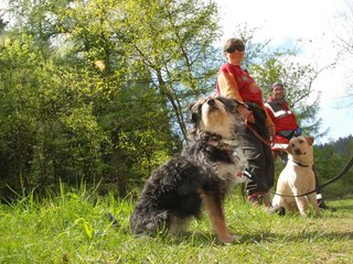 2010-05-22_ntb_8504