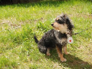 2010-05-22_ntb_8509