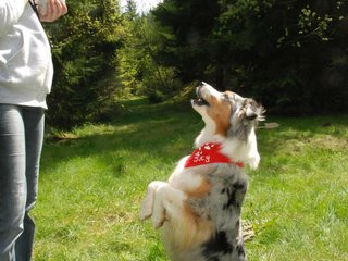 2010-05-22_ntb_8511