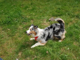 2010-05-22_ntb_8514