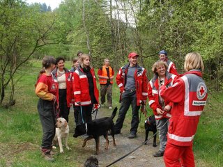 2010-05-22_ntb_8516