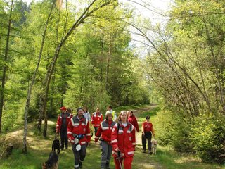 2010-05-22_ntb_8546
