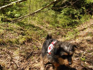 2010-05-22_ntb_8571