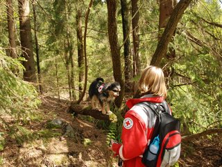 2010-05-22_ntb_8572
