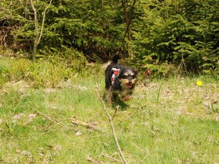 2010-05-22_ntb_8588