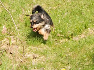 2010-05-22_ntb_8590