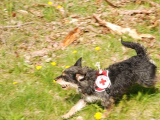 2010-05-22_ntb_8591