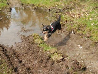 2010-05-22_ntb_8594