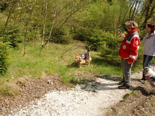 2010-05-22_ntb_8622