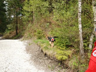 2010-05-22_ntb_8628