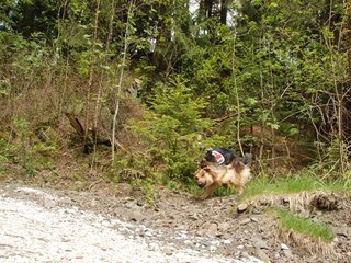 2010-05-22_ntb_8629
