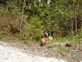 2010-05-22_ntb_8630