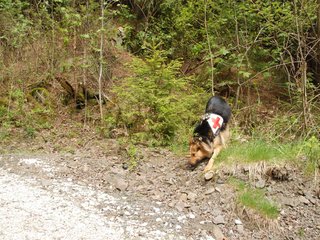 2010-05-22_ntb_8631