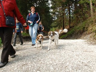 2010-05-22_ntb_8632