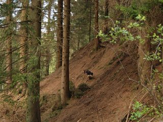 2010-05-22_ntb_8640