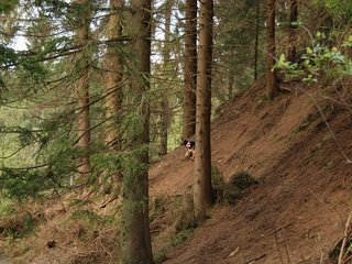 2010-05-22_ntb_8641