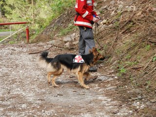 2010-05-22_ntb_8645