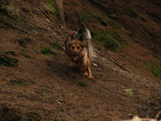 2010-05-22_ntb_8646
