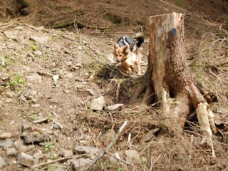 2010-05-22_ntb_8648