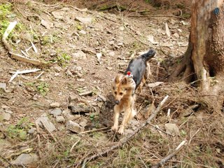 2010-05-22_ntb_8649