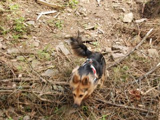 2010-05-22_ntb_8650