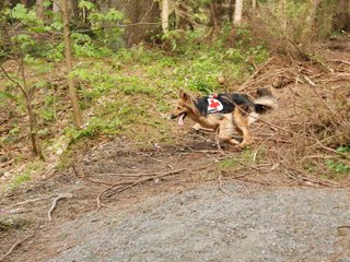 2010-05-22_ntb_8653