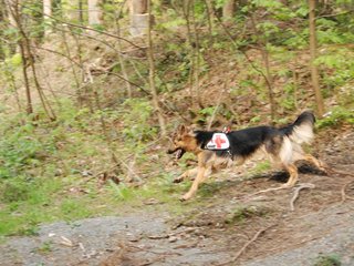 2010-05-22_ntb_8654