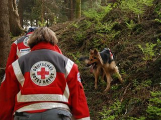 2010-05-22_ntb_8656