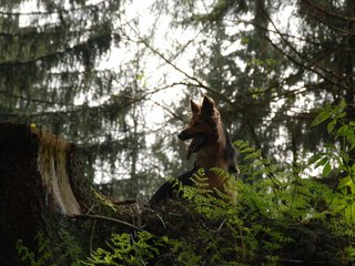 2010-05-22_ntb_8657