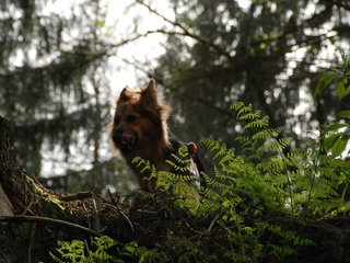 2010-05-22_ntb_8658