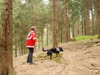 2010-05-22_ntb_8671