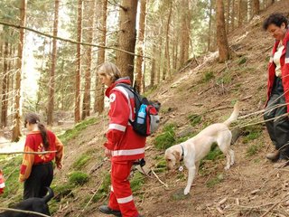 2010-05-22_ntb_8677