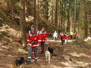 2010-05-22_ntb_8684