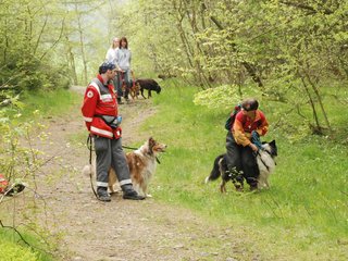 2010-05-22_ntb_8799