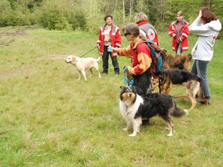 2010-05-22_ntb_8802