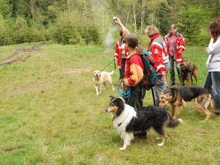 2010-05-22_ntb_8803
