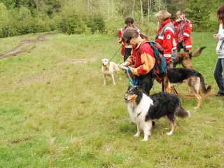 2010-05-22_ntb_8804
