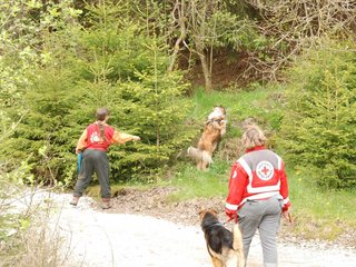 2010-05-22_ntb_8811