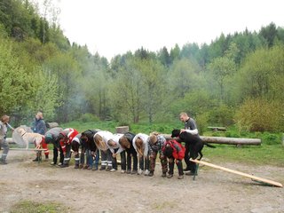 2010-05-22_ntb_8841